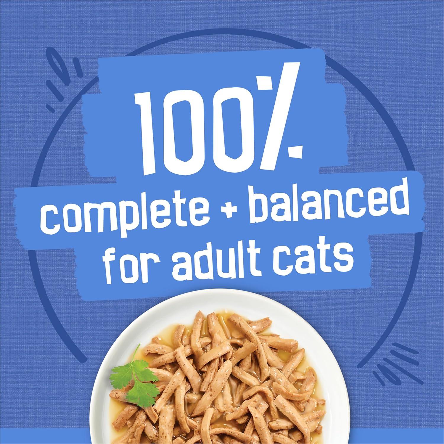 Purina Gravy Wet Cat Food Variety Pack, Beef, Chicken, Turkey 5.5Oz (Pack of 24)
